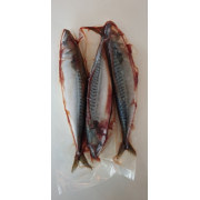 makrelen groot; 2/4 stuks per pak (400/500 gram)